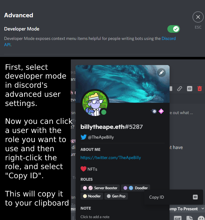 Retrieving a Role ID in Discord
